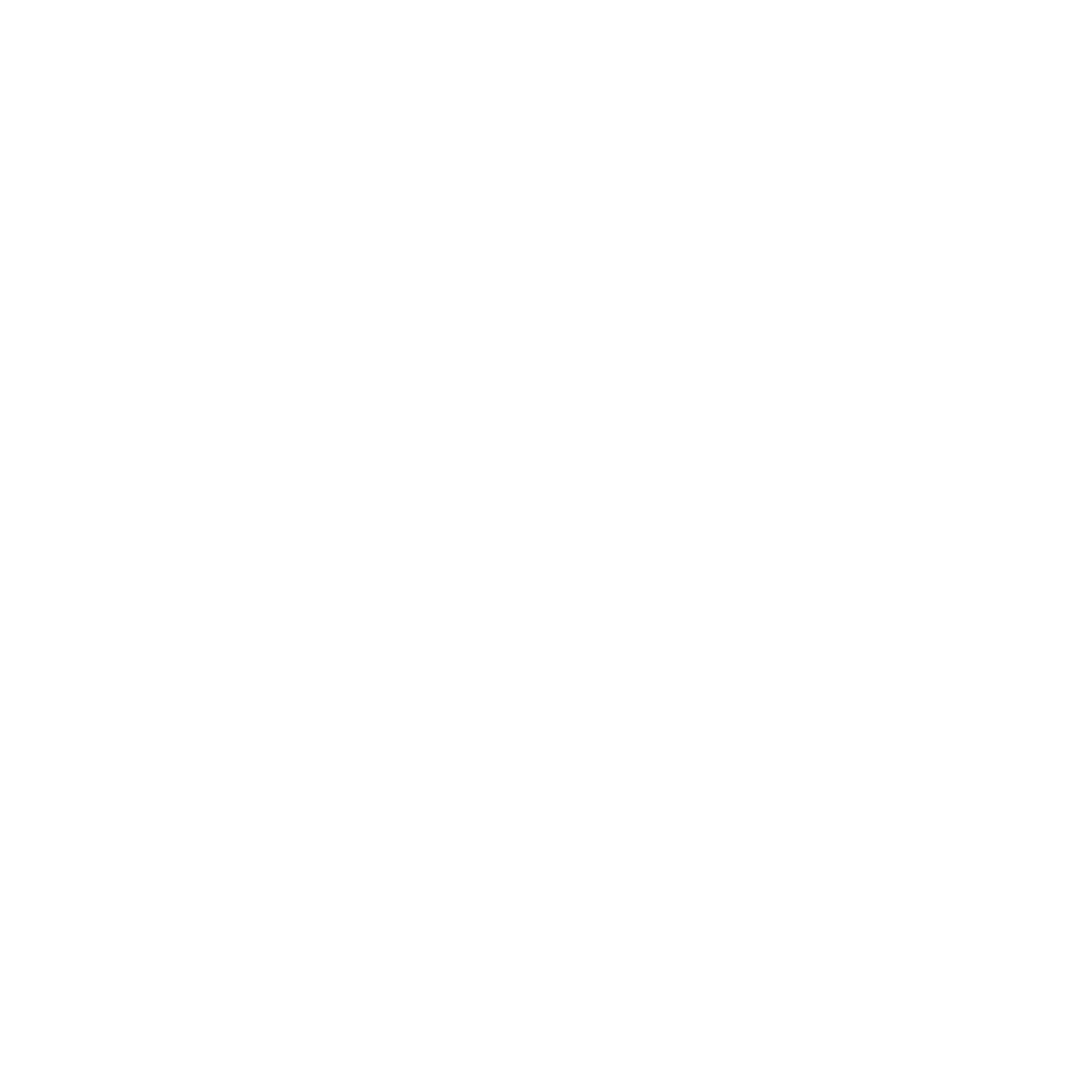 fiat-logo-2022_white